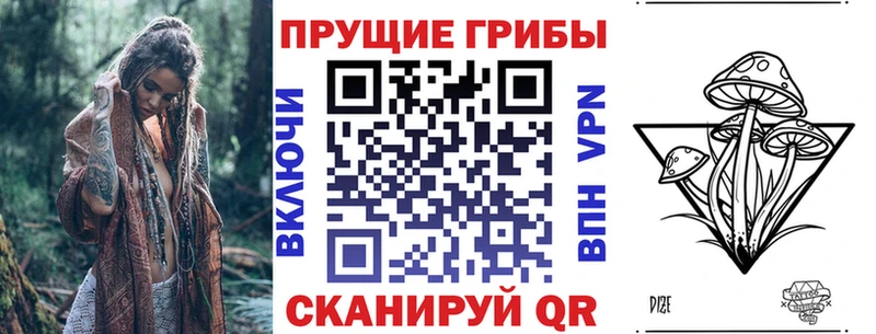 Галлюциногенные грибы Psilocybe  купить   МЕГА ссылка  Нытва 